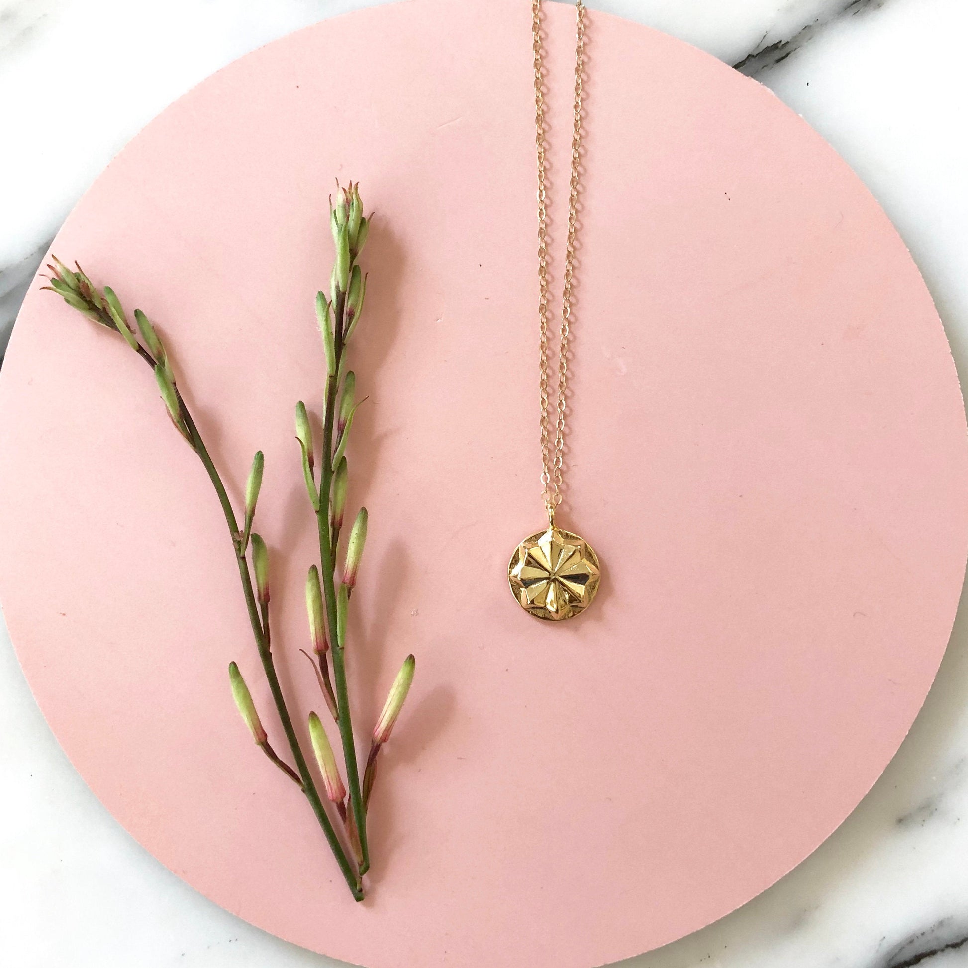gold circular medallion necklace on a gold chain with pink circular background with greenery