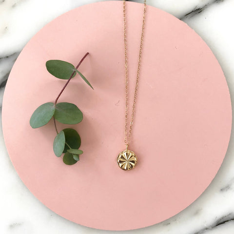 gold circular medallion necklace on a gold chain with pink circular background with greenery